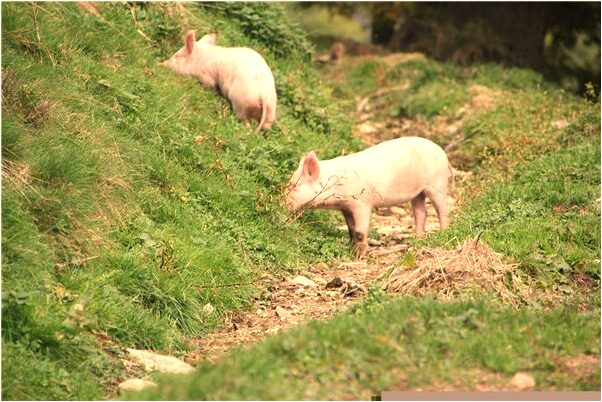 夢到活人躺在管材里有什麼預兆_周公解夢官網