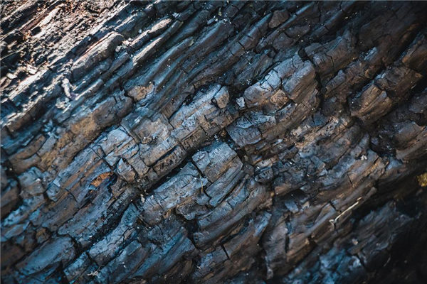 夢見黑炭是什麼意思?_周公解夢