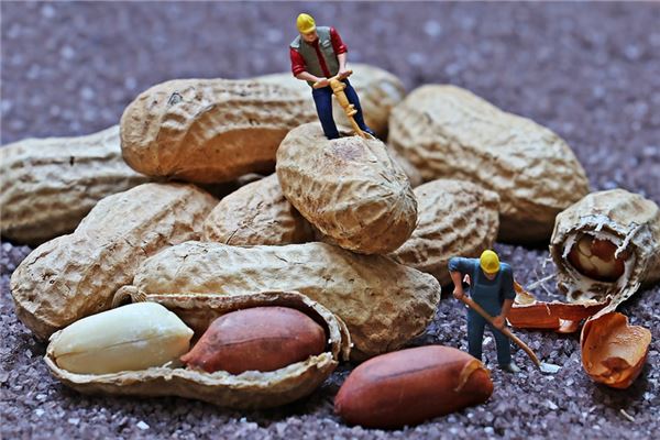 夢到揀花生有什麼意思_周公解夢