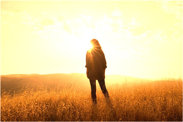 夢到蛇退皮預示什麼_周公解夢官網