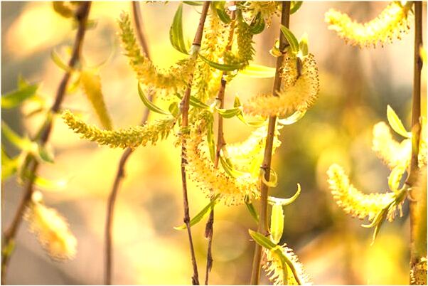 夢到買衣服給錢有什麼意義嗎_周公解夢官網