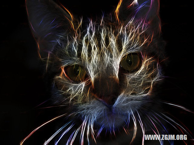 夢見被刺傷_周公解夢夢到被刺傷是什麼意思_做夢夢見被刺傷好不好_周公解夢官網