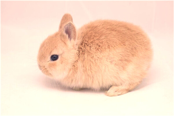 夢到了和喜歡的人一起爬山是好事還是壞事_周公解夢官網