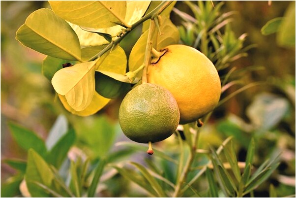 夢到章子怡喜不喜歡藍色時分啥意思_周公解夢官網