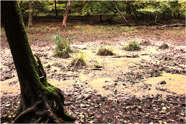 夢見有男人拿繩子勒自己脖子的預兆_周公解夢官網