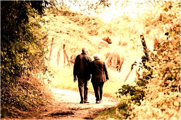 夢到了牛咬了我兩次手啥意思_周公解夢官網