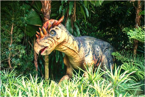 夢到自己的姑媽是什麼徵兆_周公解夢官網