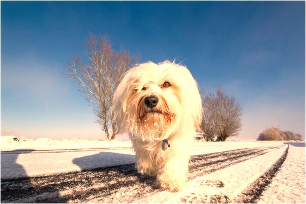 夢見自己頭頂長了一張嘴是什麼意思_周公解夢官網