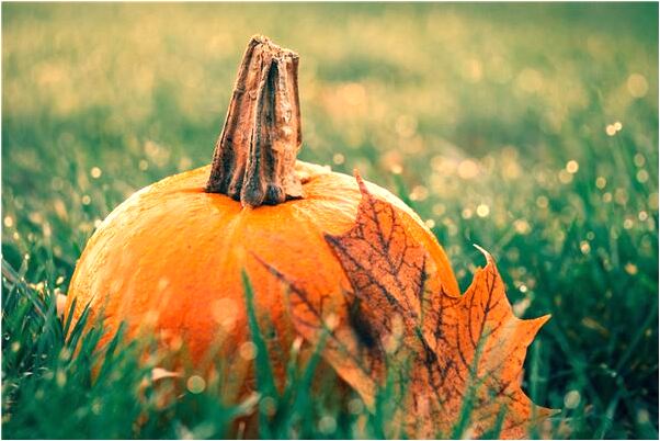 夢到了前女友抱著小孩來我家是啥預兆_周公解夢官網