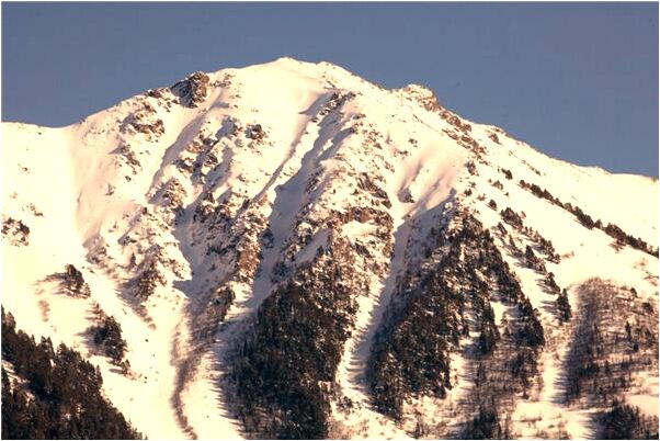 夢到自己背上爬滿了老鼠是什麼徵兆_周公解夢官網