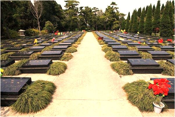 夢到自己長了三根陰莖代表什麼_周公解夢官網