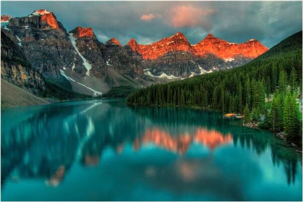 夢到了狗爬在背上有什麼含義_周公解夢官網