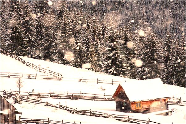 夢見看別人耕田插秧是什麼兆頭_周公解夢官網