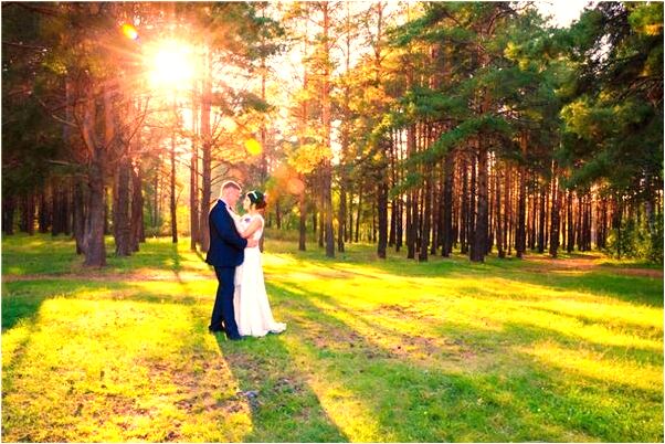 夢到大象自殘死怎么回事_周公解夢官網