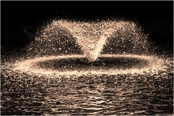 夢見跟女的一起買家具是凶兆還是吉兆_周公解夢官網