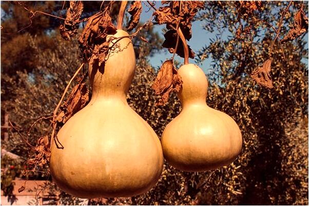 夢到了背著女人是啥意思_周公解夢官網