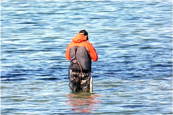 夢到開會座在第一排有什麼預示嗎_周公解夢官網