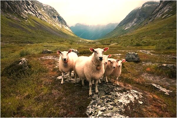 夢見多年未見得老同學有什麼徵兆_周公解夢官網