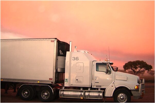 夢到了捉了只小鳥是什麼意思？_周公解夢官網