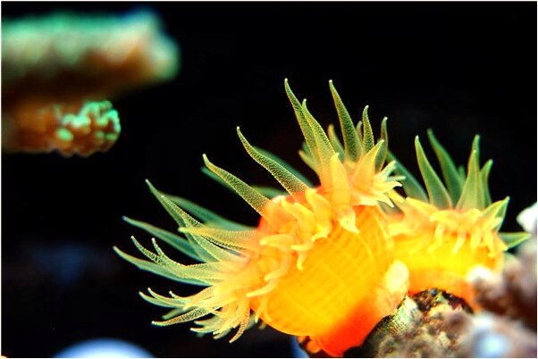 夢到了強行打開大門代表什麼_周公解夢官網