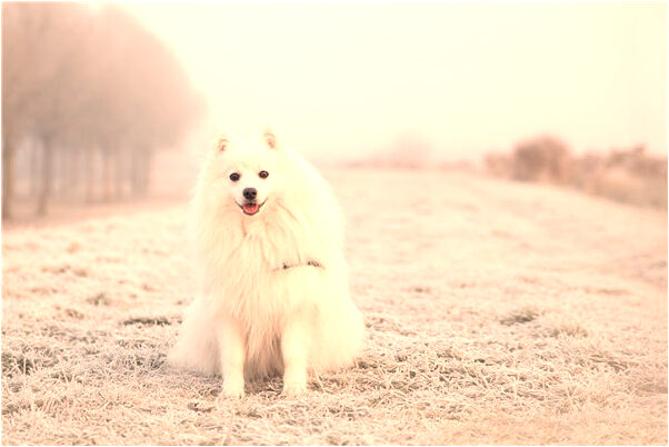 夢到了死人滿身血是凶兆還是吉兆_周公解夢官網