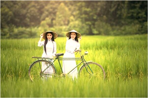 夢到了自己被砍四刀是什麼兆頭_周公解夢官網