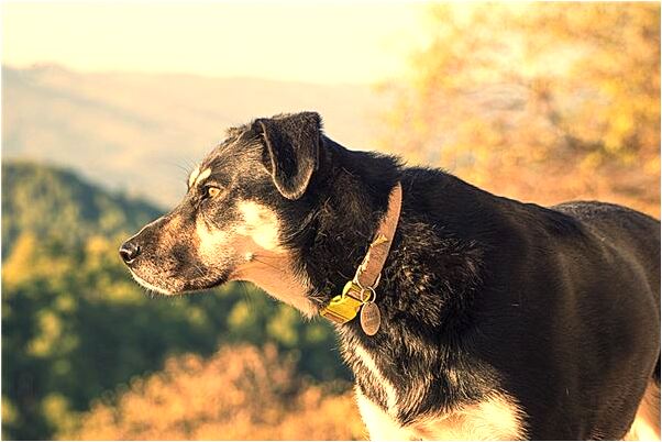 夢見很多同事卻沒有男友意味著什麼_周公解夢官網