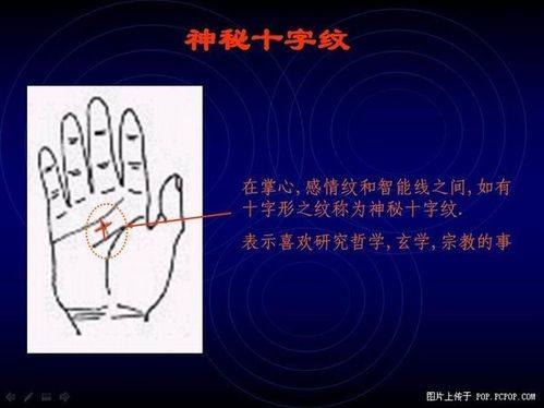 Palm fortune-telling various pattern recognition and the diagram of 5