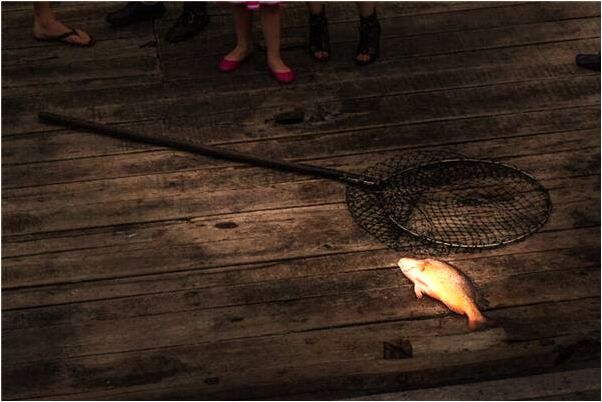 夢見五彩的美景是啥預兆_周公解夢官網