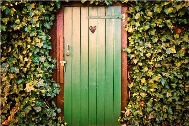 夢見睡覺中錢被陌生女子偷走了代表著什麼？_周公解夢官網