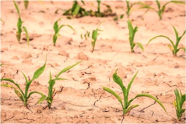 夢見兩次洪水是好的徵兆嗎_周公解夢官網