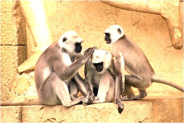 夢見一望無際水是什麼兆頭_周公解夢官網