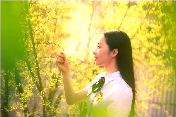 夢見李向斌是啥預兆_周公解夢官網