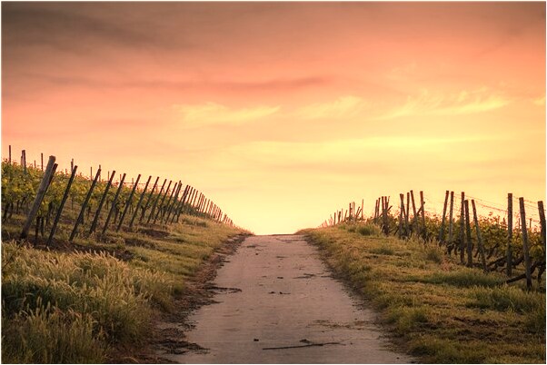 夢到了小情人怎么樣_周公解夢官網