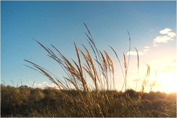 夢到了房子歪好不好_周公解夢官網