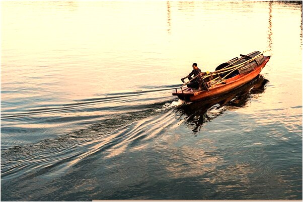 夢見被一群馬蜂追是什麼意思？_周公解夢官網