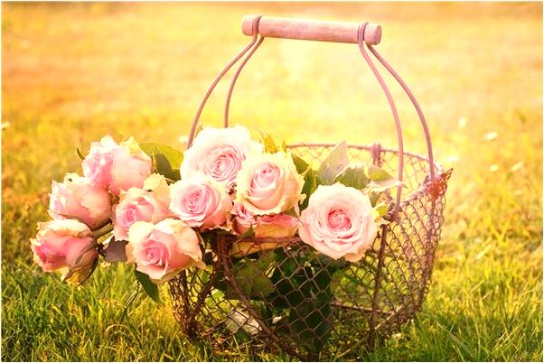 夢到了自己流好多的血是什麼兆頭_周公解夢官網