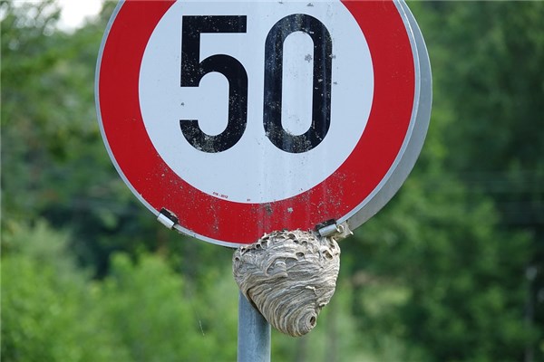 夢見50有何寓意_周公解夢