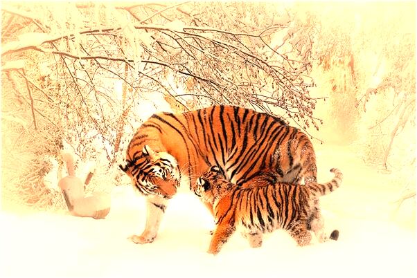 夢到了在高處預示什麼_周公解夢官網