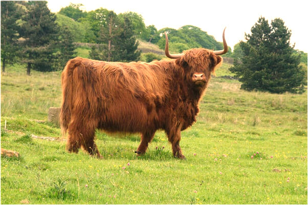 夢到了被人預謀殺害代表著什麼？_周公解夢官網