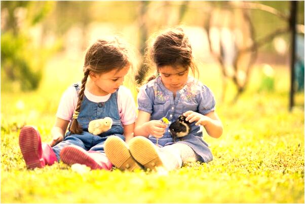 夢到兩把飛刀在空中飛舞意味著什麼_周公解夢官網