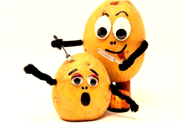 夢到了和哥哥殺豬豬頭掉了有什麼預示嗎_周公解夢官網