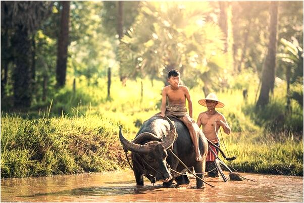 夢到了帥哥帶我車上聊天是好的徵兆嗎_周公解夢官網