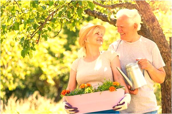 夢見蛇鑽進我姐嘴裡有什麼預示嗎_周公解夢官網