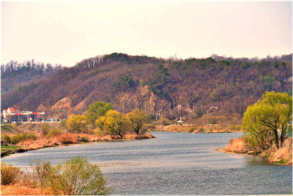 夢見自己拾碳有什麼預兆_周公解夢官網