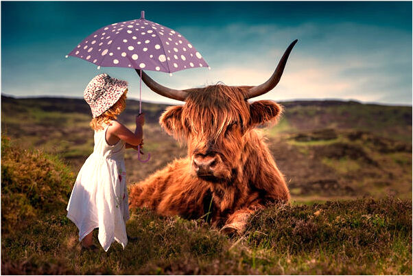 夢到了可怕的空城是什麼預兆？_周公解夢官網