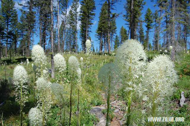 夢見我和男同學_周公解夢夢到我和男同學是什麼意思_做夢夢見我和男同學好不好_周公解夢官網