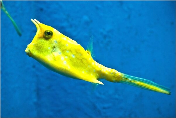 夢見綠草堆下草上有糞便是什麼徵兆_周公解夢官網