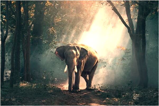 夢到我很別人借東西代表著什麼？_周公解夢官網