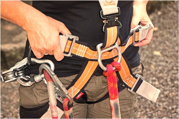 夢到了烤魷魚什麼寓意_周公解夢官網